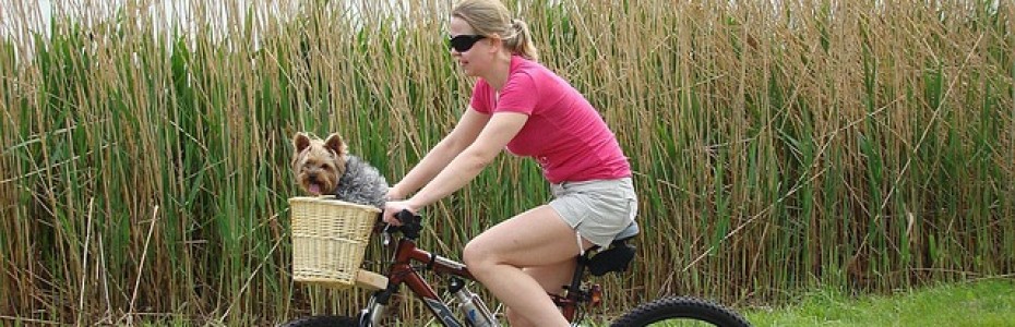 Pilates y operación bikini